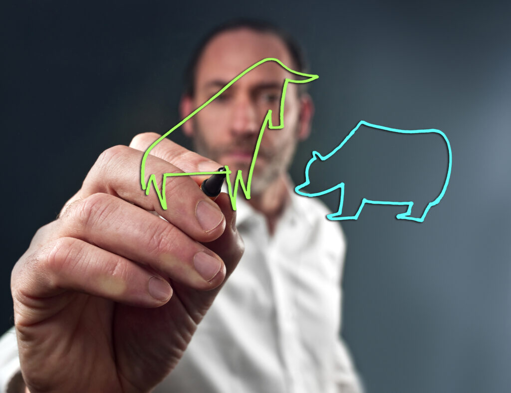 Man drawing stock market bull and bear.